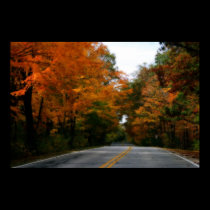 Autumn On A Country Road posters