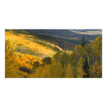 Autumn on the Grand Mesa Customized Photo Card