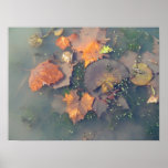 Autumn on the Swamp Posters