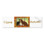 Autumn Orange Tabby Cats