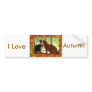 Autumn Orange Tabby Cats