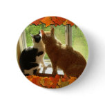 Autumn Orange Tabby Cats