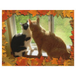 Autumn Orange Tabby Cats flyers