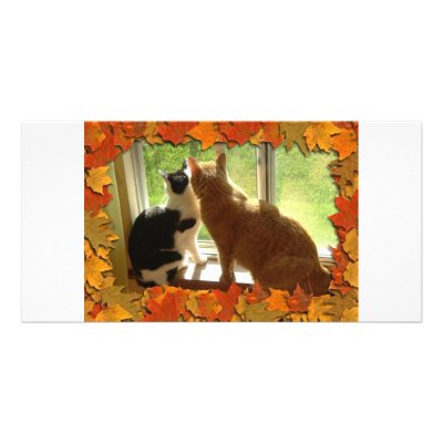 Autumn Orange Tabby Cats by Incatneato