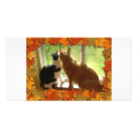 Autumn Orange Tabby Cats photo cards