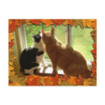 Autumn Orange Tabby Cats