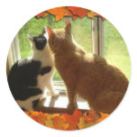 Autumn Orange Tabby Cats
