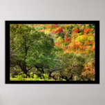 Autumn Orchard Print