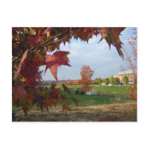Autumn Over the Convo Postcard