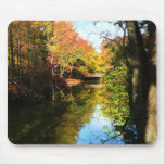 Autumn Park With Bridge