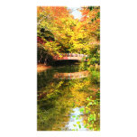 Autumn Park With Bridge photo cards