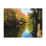 Autumn Park With Bridge