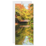 Autumn Park With Bridge rack cards