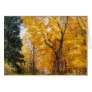 Autumn Path
