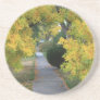 Autumn Path