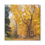 Autumn Path
