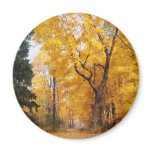 Autumn Path