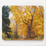 Autumn Path