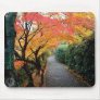 Autumn path mousepad