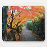 Autumn path mousepad