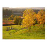 Autumn Path Post Card