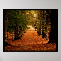 Autumn Path Poster Print