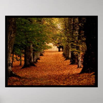 Autumn Path Poster Print