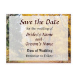 Autumn Path Save the Date Postcard