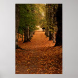 Autumn Pathways posters