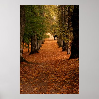 Autumn Pathways Poster by SweetRascal