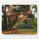 Autumn peaceful park mousepad