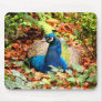 autumn peacock mousepad