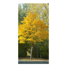 Autumn Personalized Photo Card