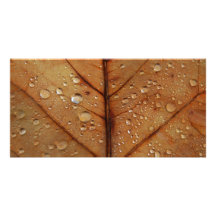 Autumn Photo Card