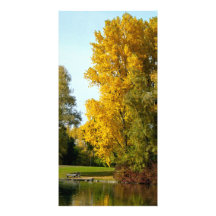 Autumn Photo Greeting Card