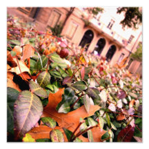 Autumn Photographic Print