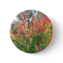 Autumn Pin
