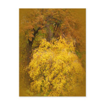 Autumn Pleasures Cherry Tree