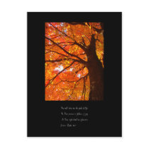 Autumn Pleasures II