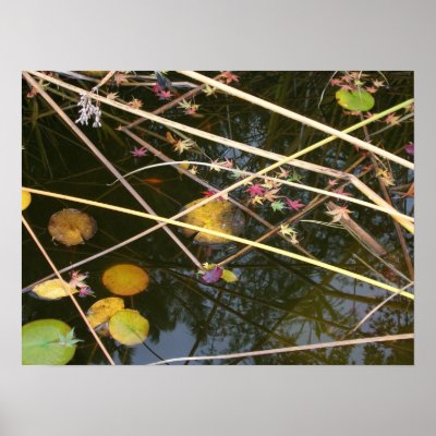 Autumn Pond Posters by ebroskie1234
