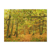 autumn post cards