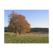 autumn postcard
