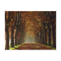 autumn postcard