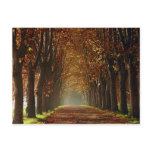 autumn postcards