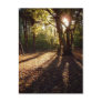 Autumn | postcard