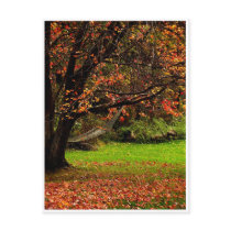 Autumn Postcard 4
