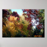 Autumn posters