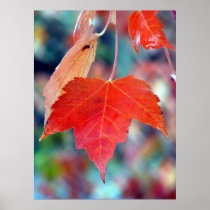 Autumn Poster