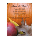 Autumn Pumpkin, Apple and Colourful Leaves