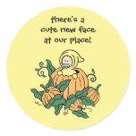 Autumn Pumpkin Baby Sticker - Birth announcement